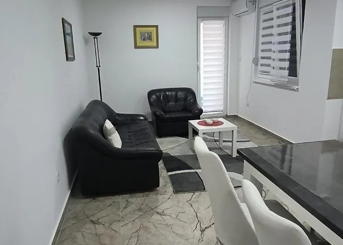 Apartment Dusa Banja Koviljača