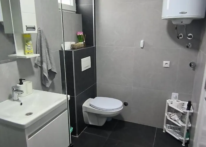 Apartment Dusa Banja Koviljača