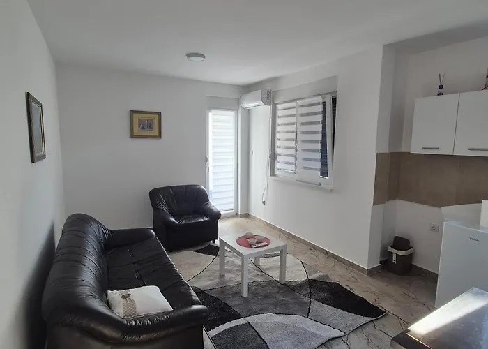 Dusa 아파트 Banja Koviljača